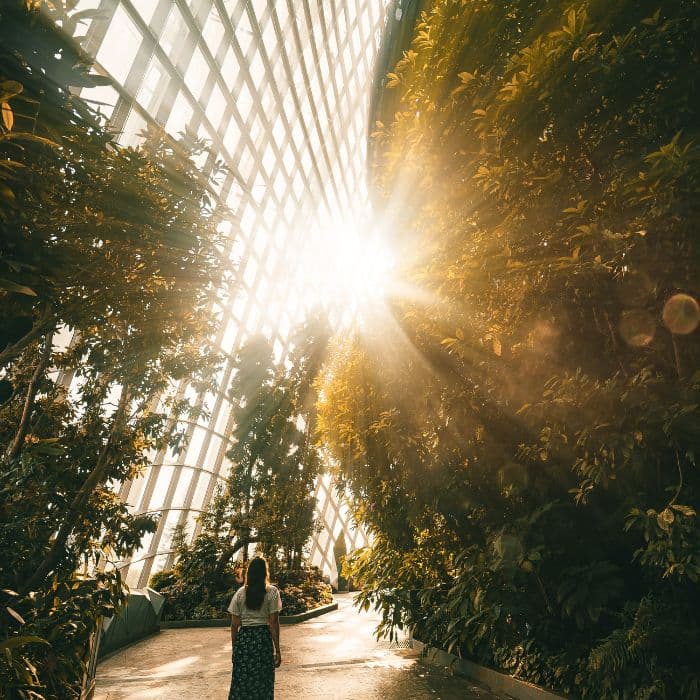 REFUNDABLE INVESTMENT CREDIT (RIC)