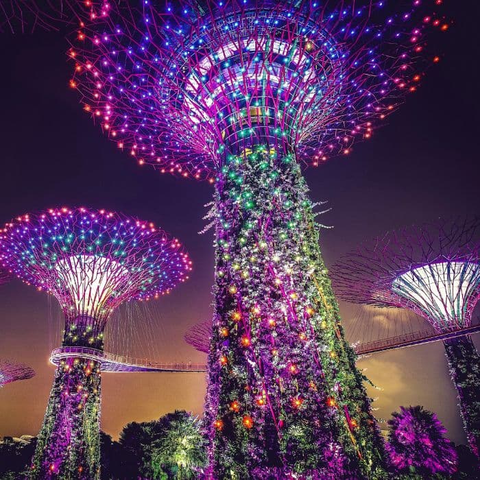 RESEARCH & INNOVATION SCHEME FOR COMPANIES RIS(C)